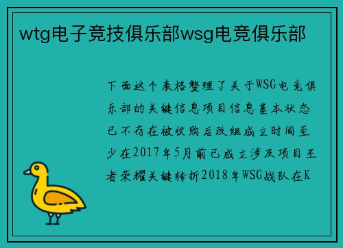 wtg电子竞技俱乐部wsg电竞俱乐部